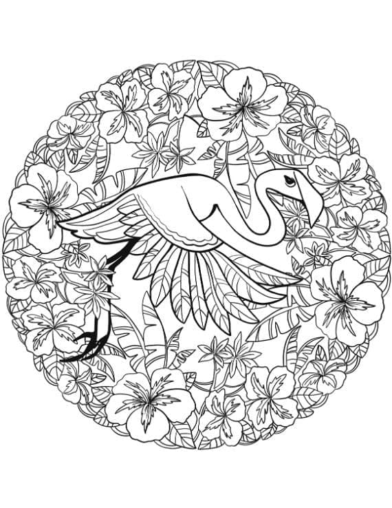 Desenho deMandala de Flamingo para colorir