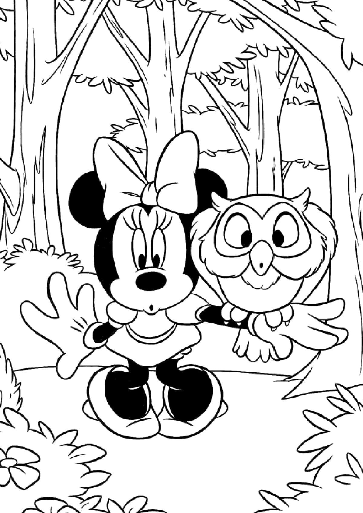 Desenho de Minnie Mouse e Coruja para colorir