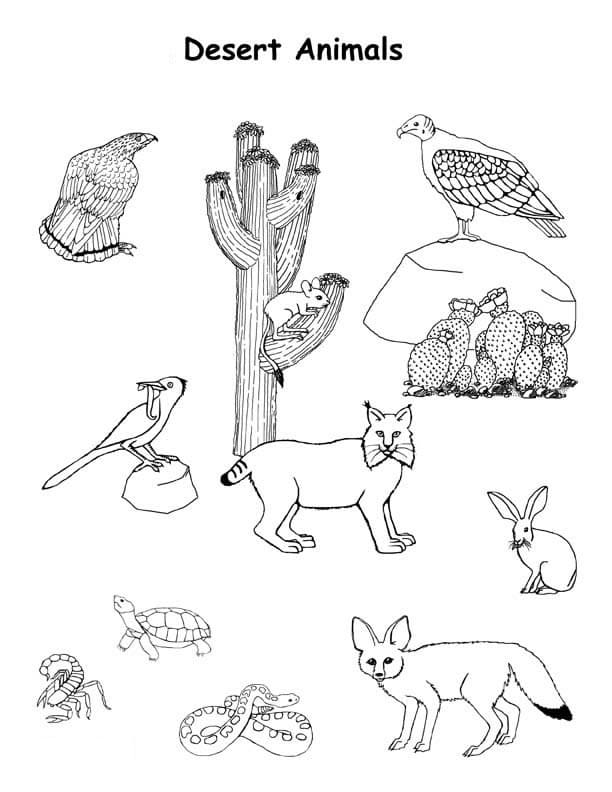 Desenho deOs Animais do Deserto para colorir