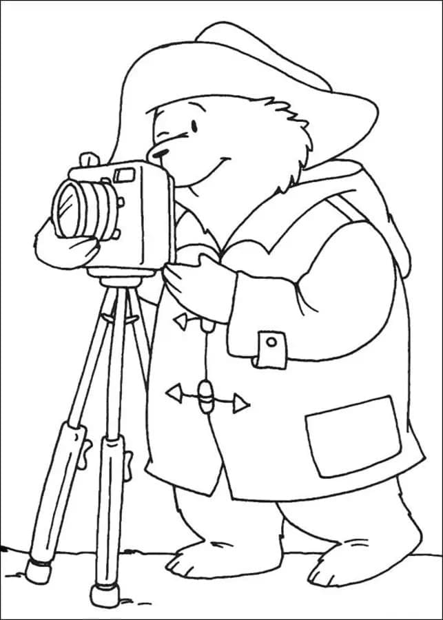 Desenho dePaddington 1 para colorir