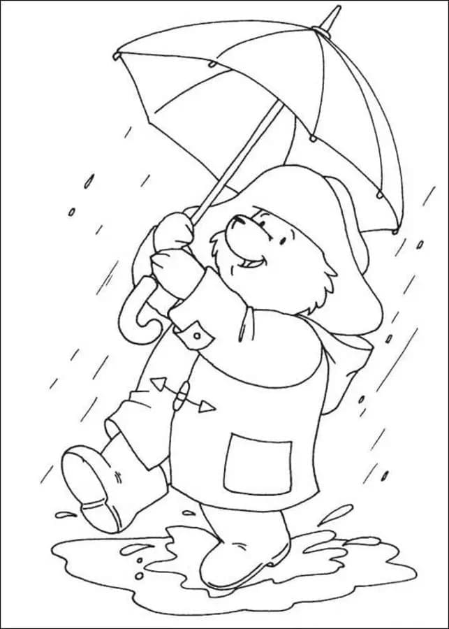 Desenho dePaddington com Guarda-chuva para colorir