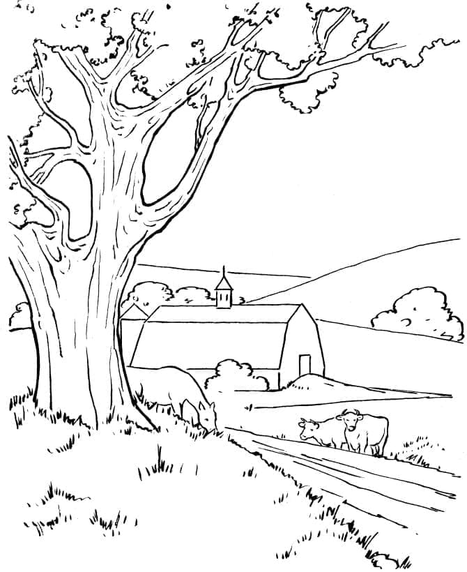 Desenho de Paisagem Agrícola para colorir