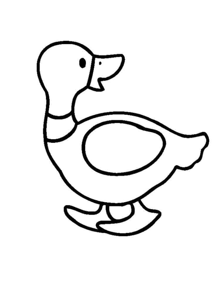 Desenho dePato Grátis para colorir