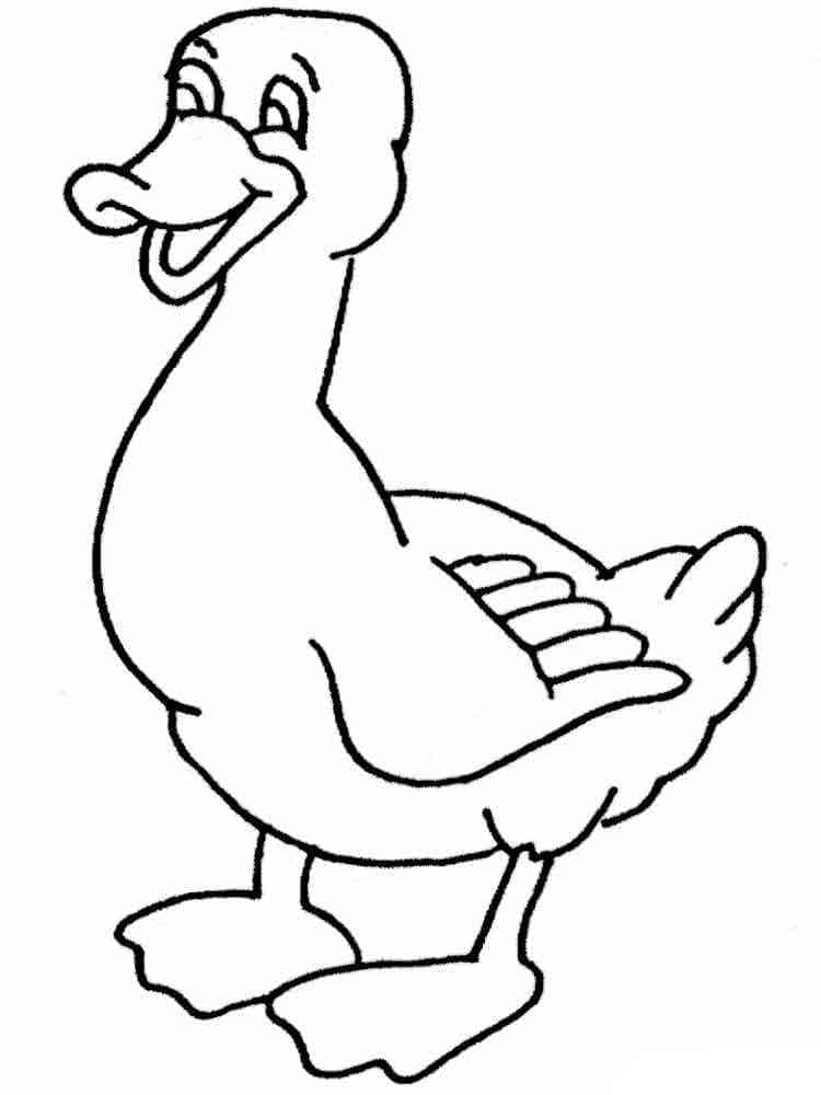 Desenho dePato Para Crianças para colorir