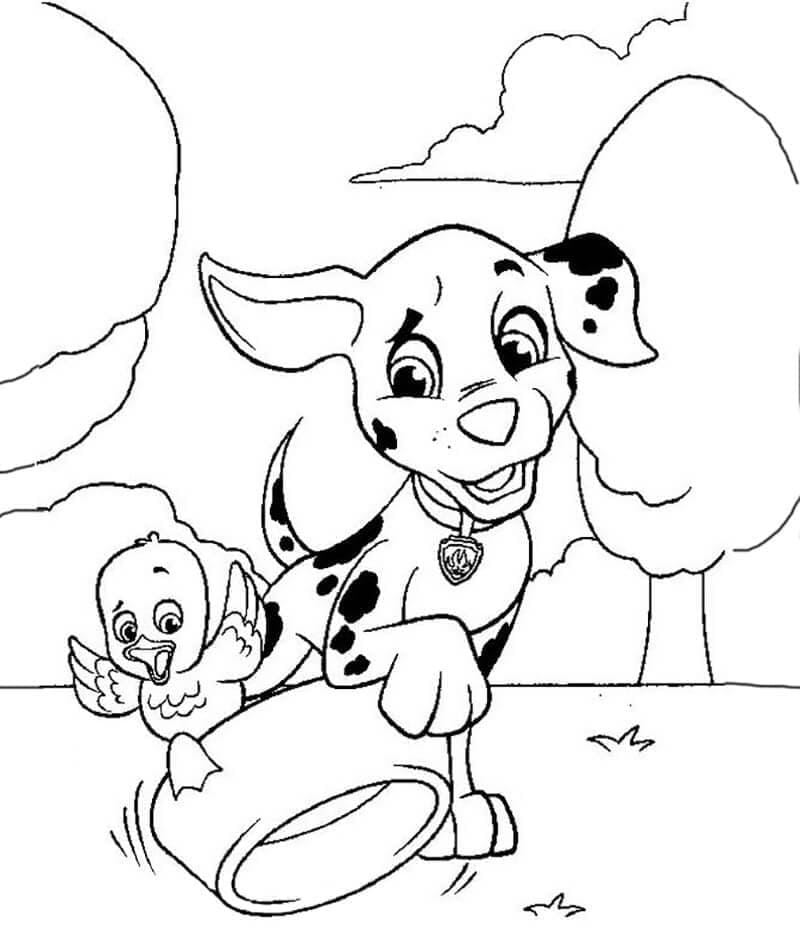 Desenho dePatrulha Canina Marshall e Pato para colorir