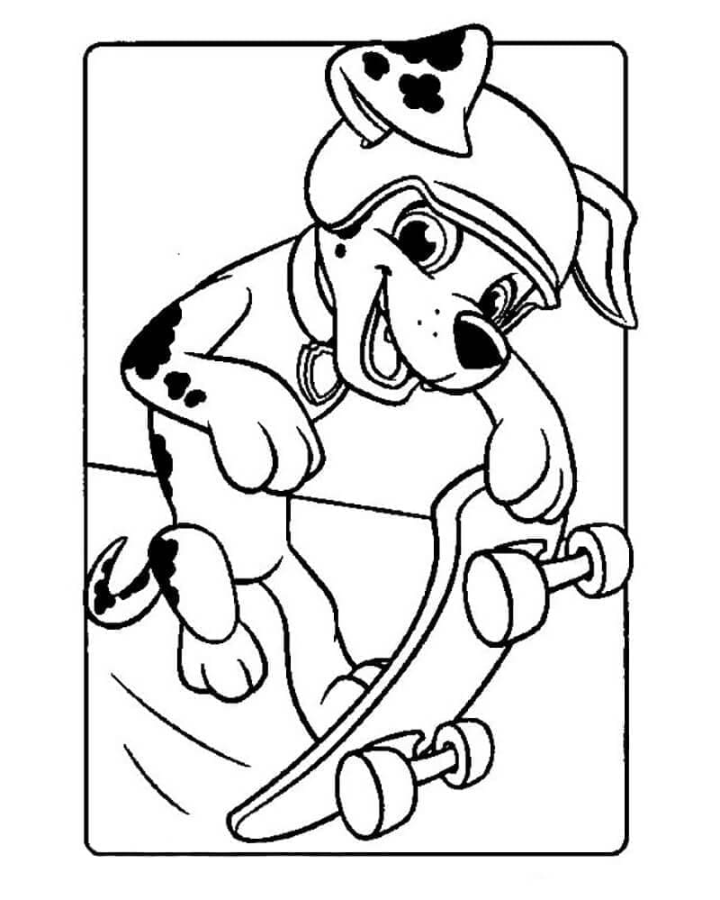 Desenho dePatrulha Canina Marshall no Skate para colorir