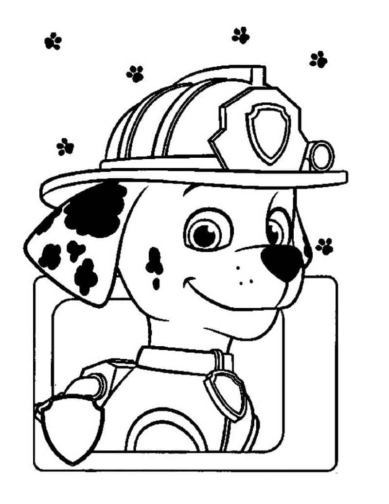 Desenho dePatrulha Canina Marshall Sorridente para colorir