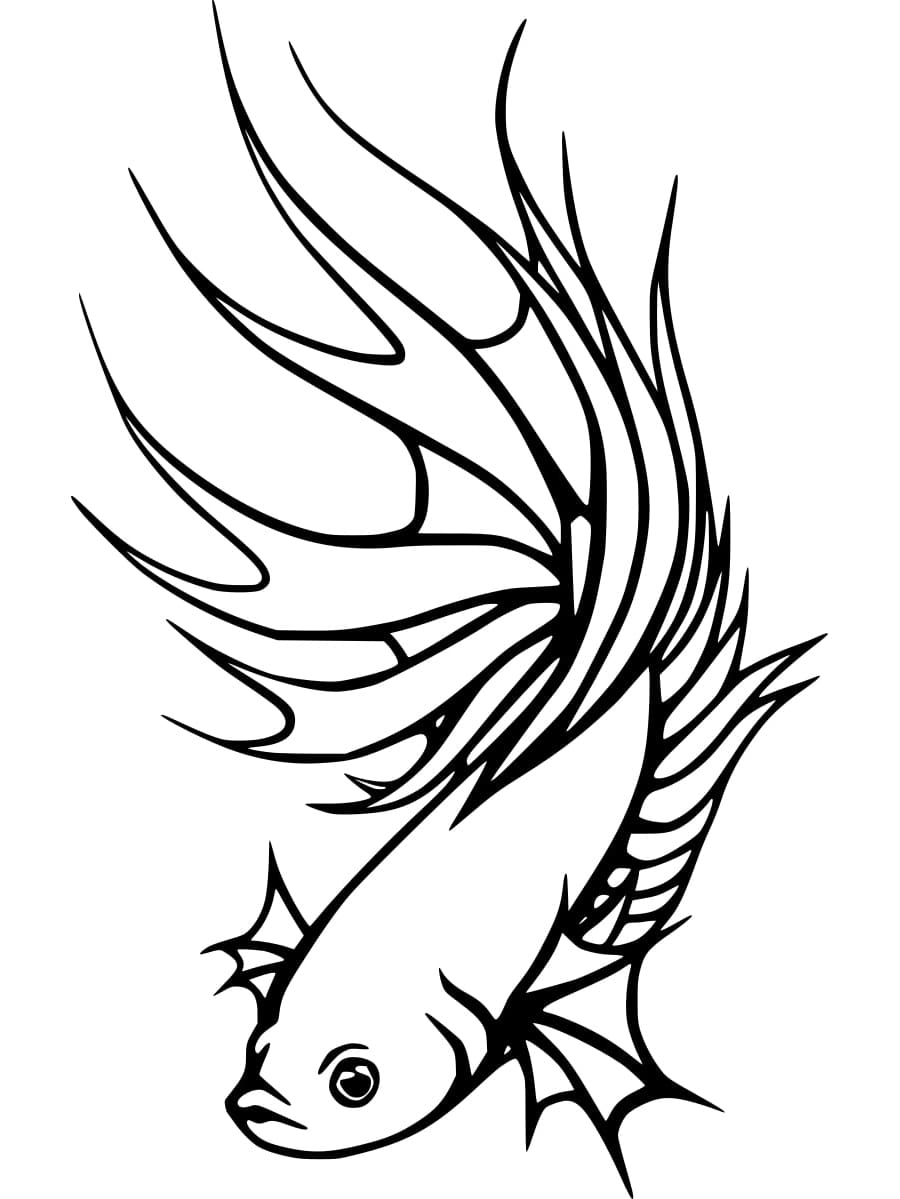 Desenho dePeixe Betta Normal para colorir