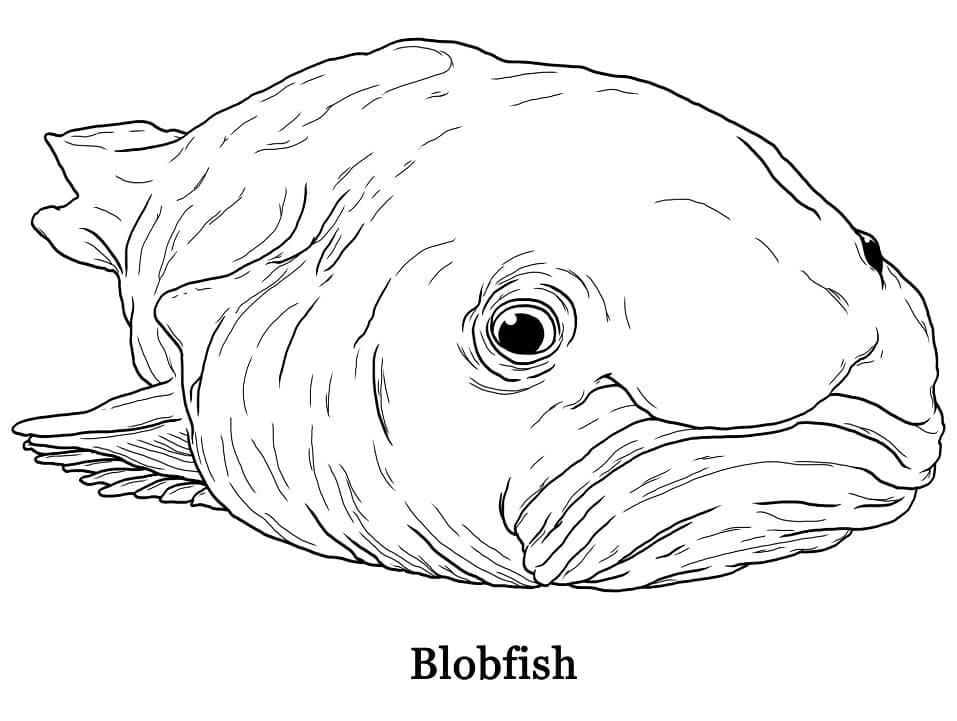 Desenho dePeixe-bolha Grátis Para Crianças para colorir