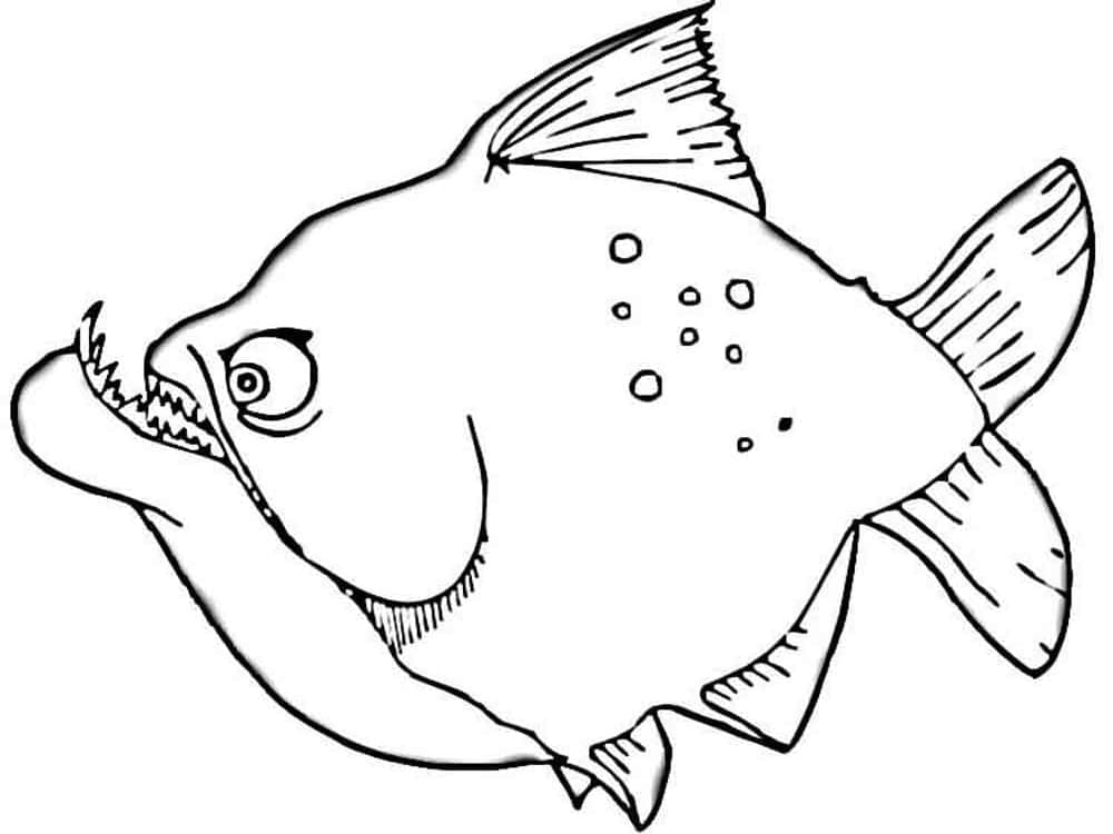 Desenho dePeixe Piranha Engraçado para colorir