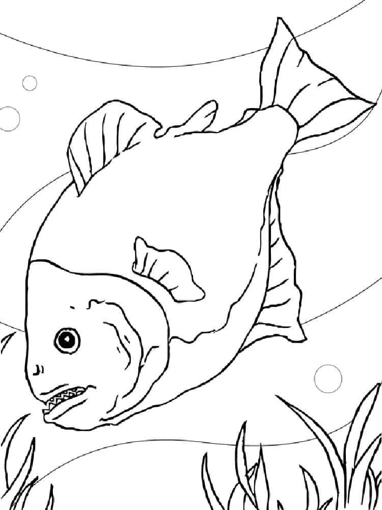 Desenho dePeixe Piranha Nadando para colorir