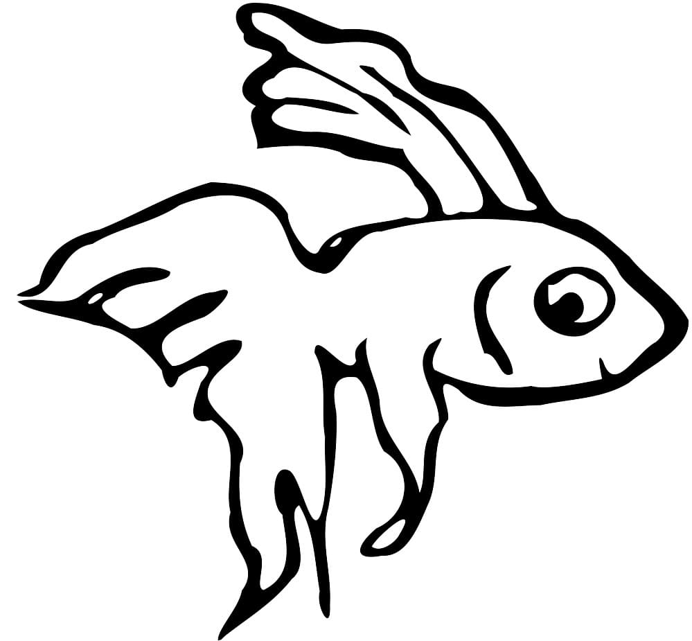 Desenho dePequeno Peixe Betta para colorir