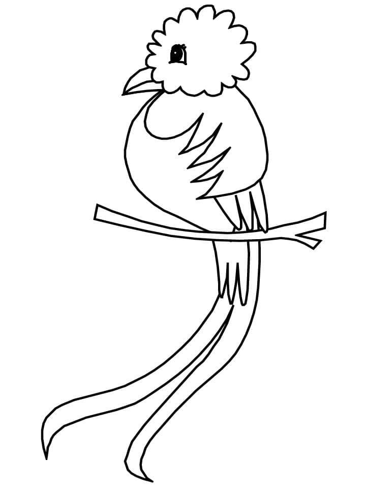 Desenho dePequeno Quetzal para colorir