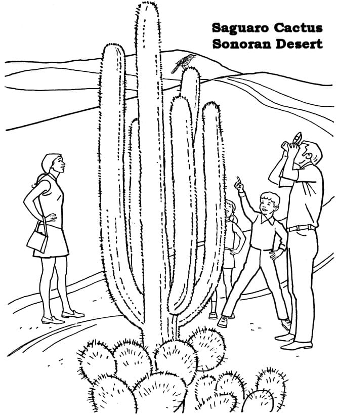 Desenho dePessoas no Deserto para colorir