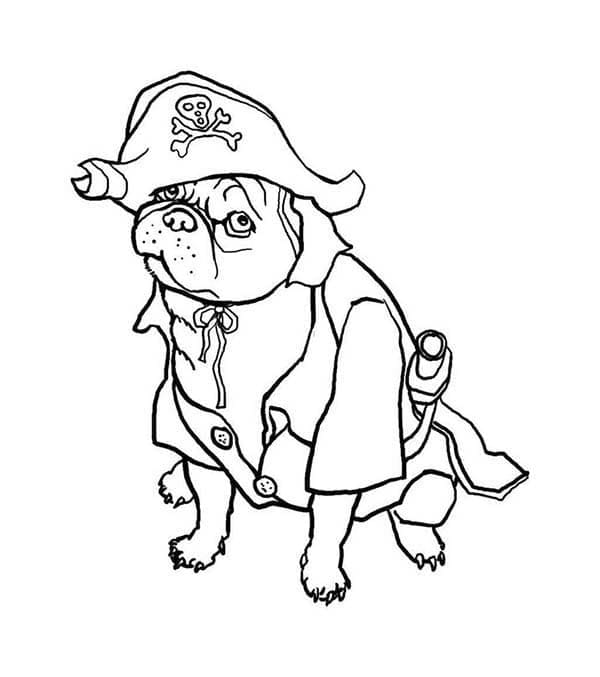 Desenho dePirata Pug para colorir