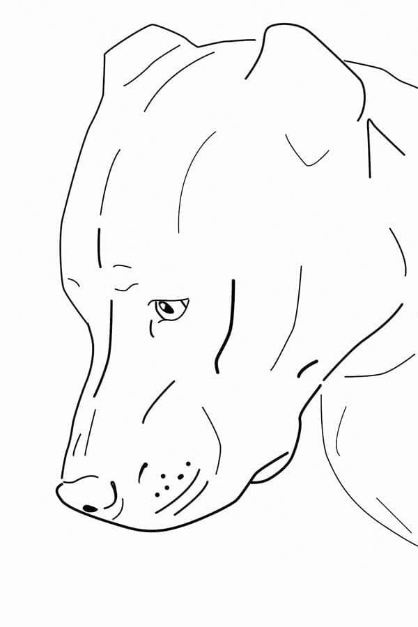 Desenho dePitbull Triste para colorir