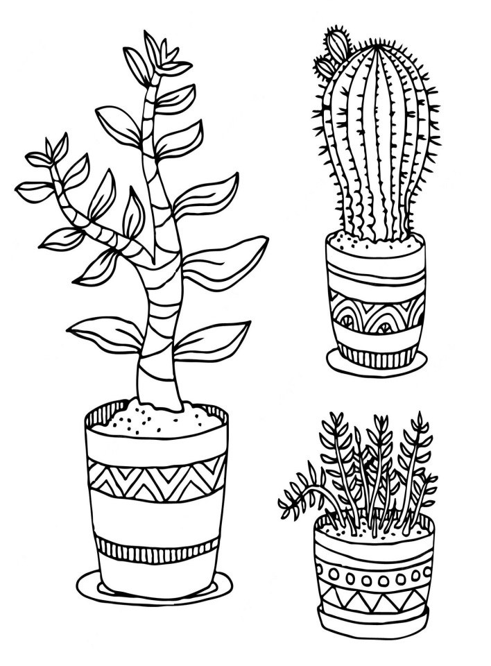 Desenhos de Plantas para colorir