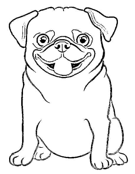 Desenhos de Pug para colorir