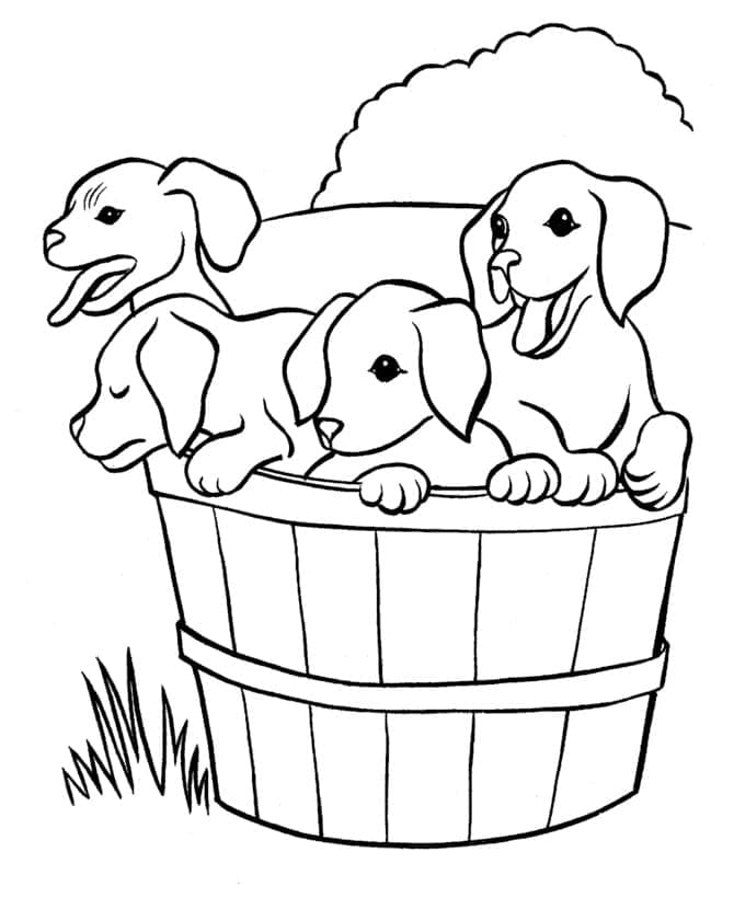 Desenho deQuatro Cachorrinhos para colorir