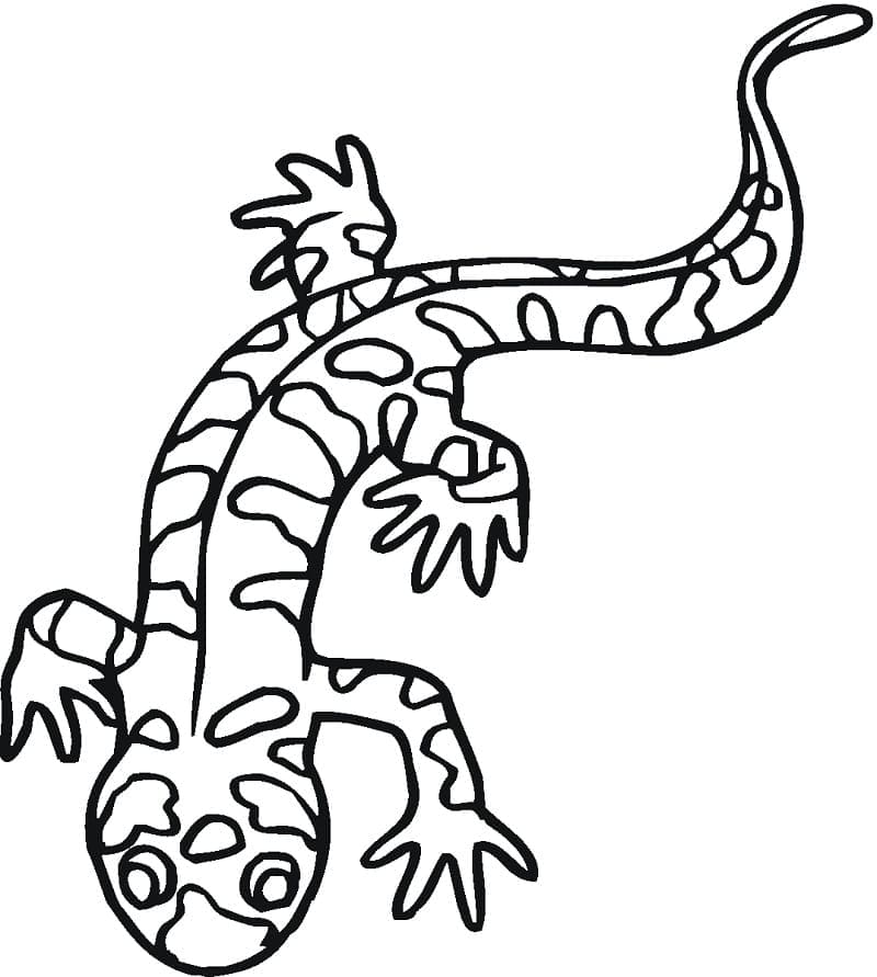 Desenho deSalamandra 6 para colorir