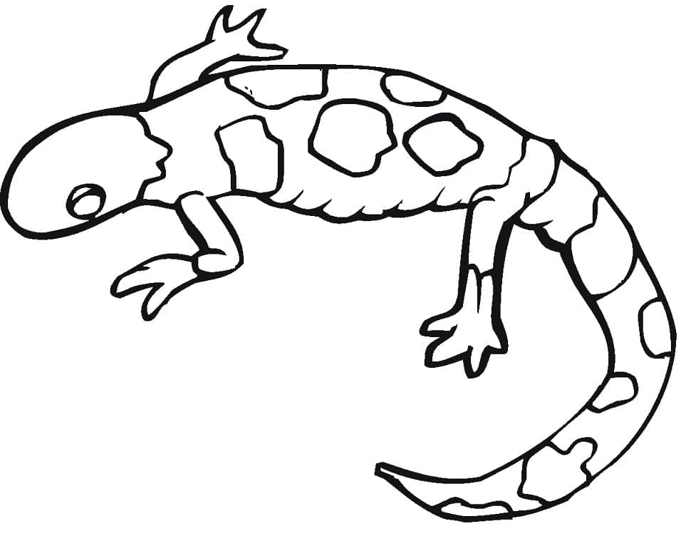 Desenho deSalamandra Estranha para colorir