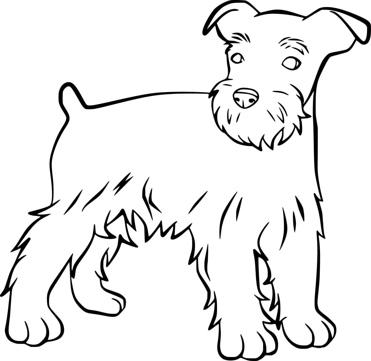 Desenho deSchnauzer Grátis Para Crianças para colorir