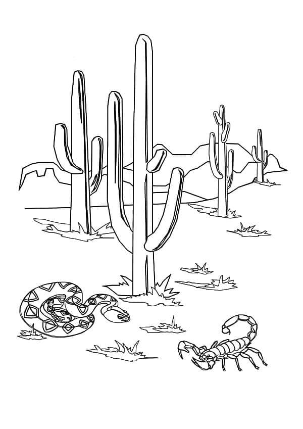 Desenhos de Deserto para colorir