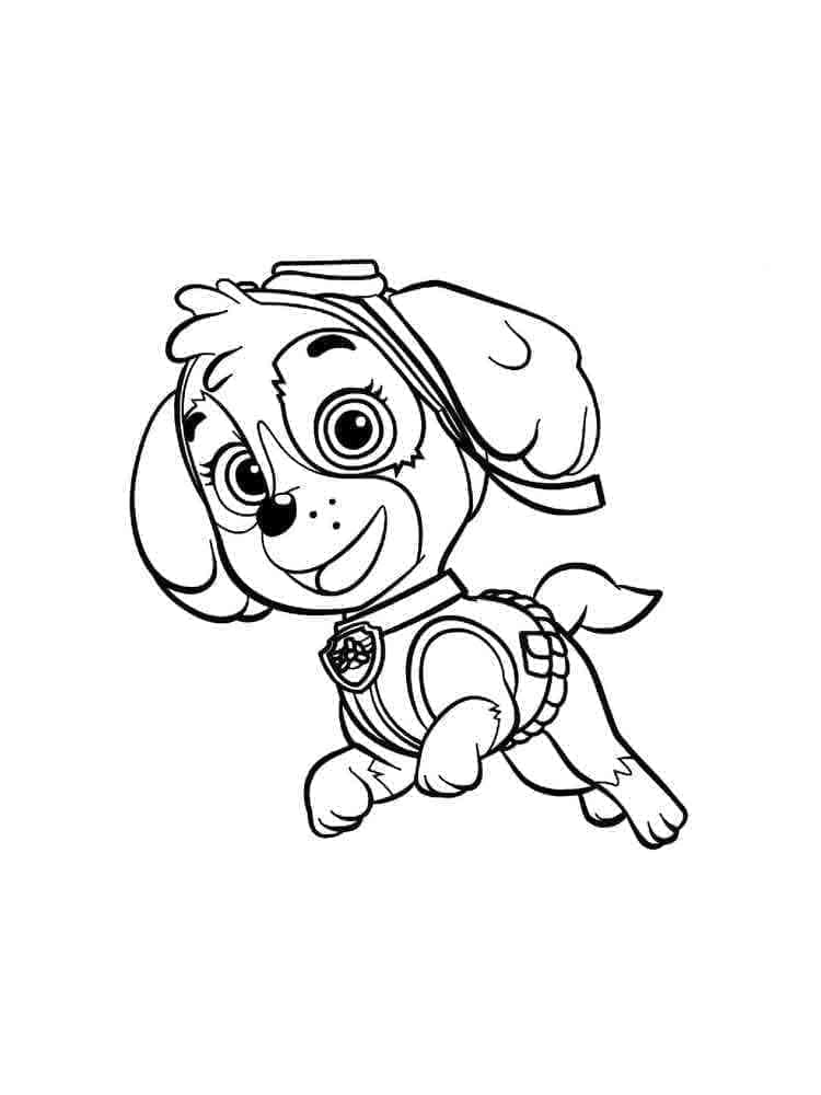 Desenho deSkye Patrulha Canina Adorável para colorir