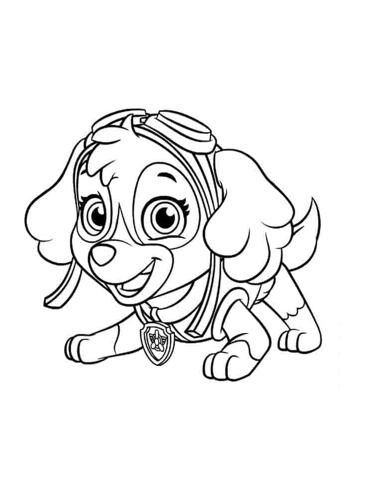 Desenho deSkye Patrulha Canina Grátis Para Crianças para colorir