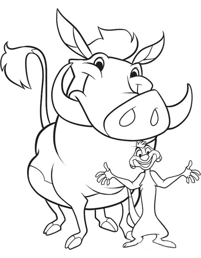 Desenho deTimão e Pumba Sorridentes para colorir