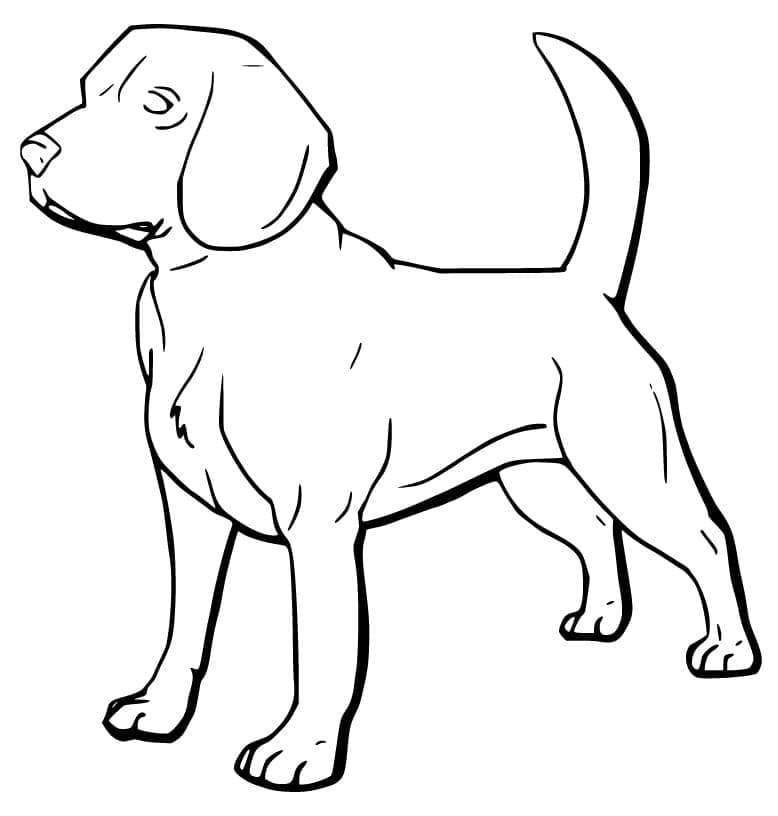 Desenho deUm Beagle para colorir