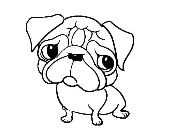 Desenho deUm Cachorrinho Pug para colorir