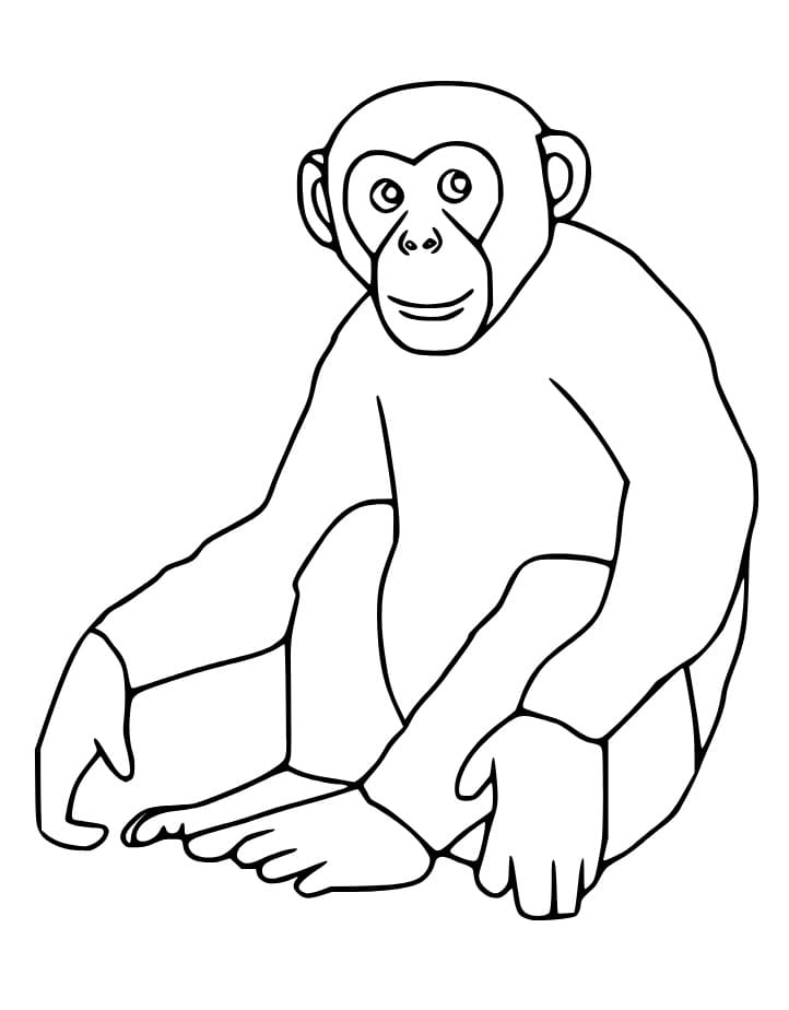 Desenho deUm Chimpanzé Sorridente para colorir