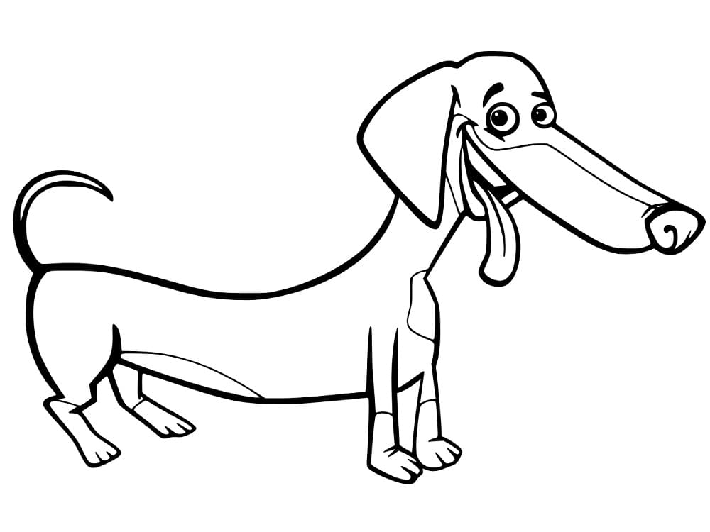 Desenho de Um Dachshund Engraçado para colorir