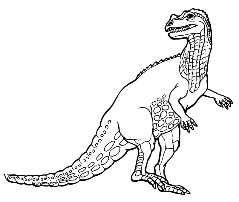 Desenho deUm Dinossauro Ceratossauro para colorir