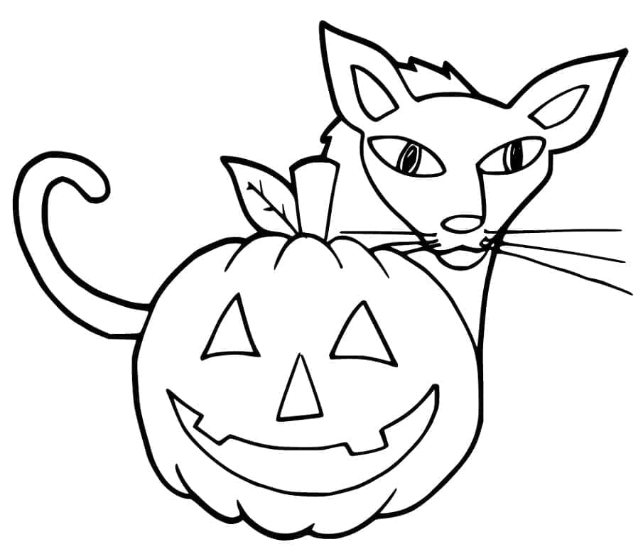 Desenho deUm Gato e Abóbora de Halloween para colorir