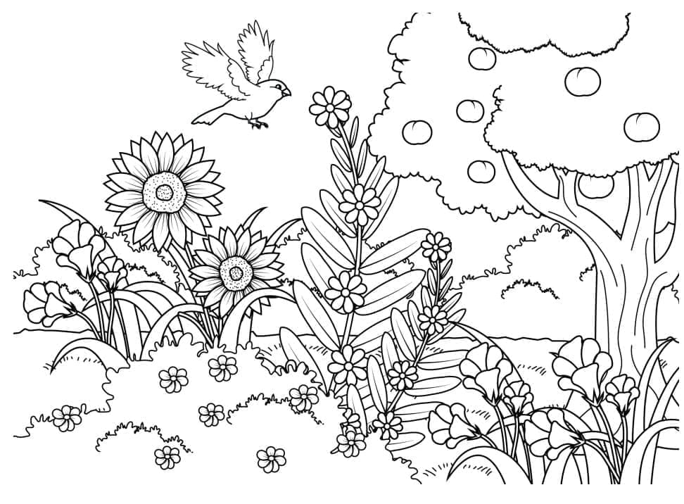 Desenho de Um Lindo Jardim para colorir