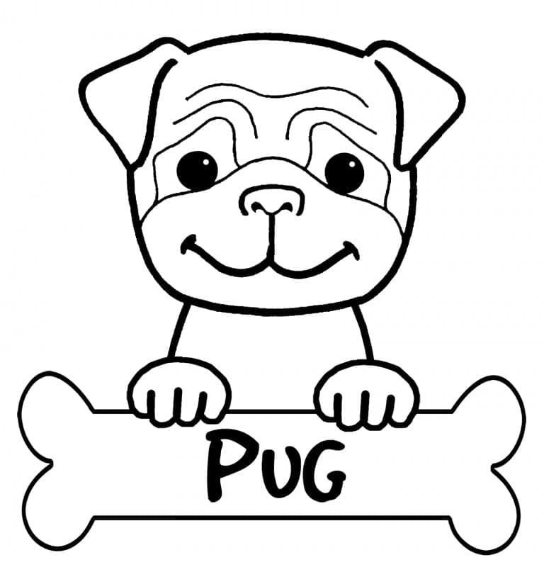 Desenho deUm Lindo Pug para colorir