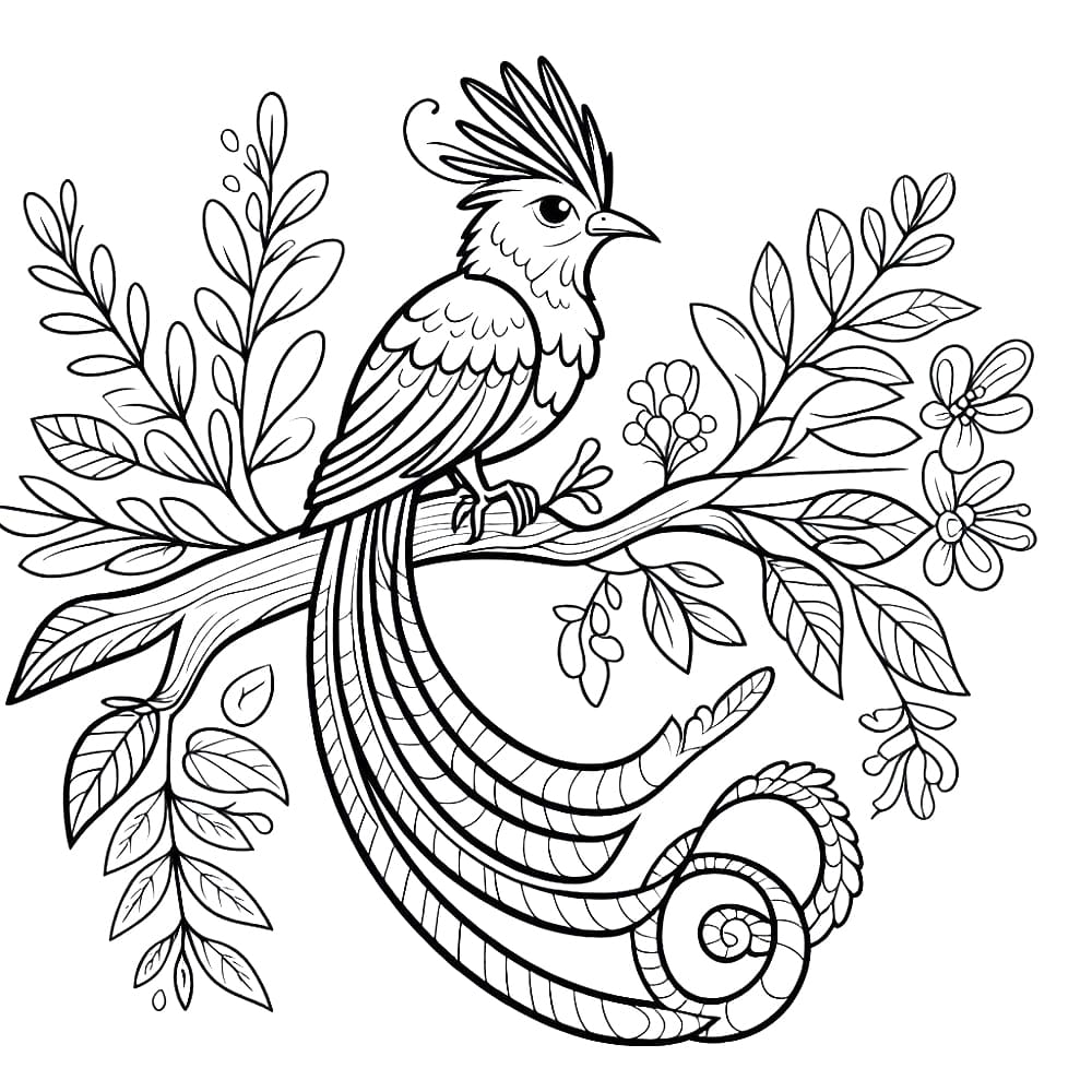 Desenho deUm Lindo Quetzal para colorir