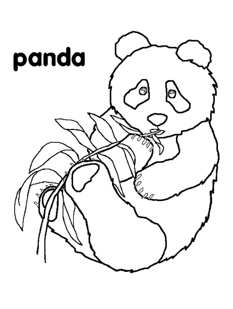 Desenho deUm Panda para colorir