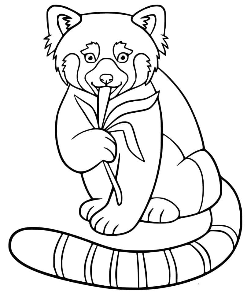 Desenho deUm Panda Vermelho Sorridente para colorir