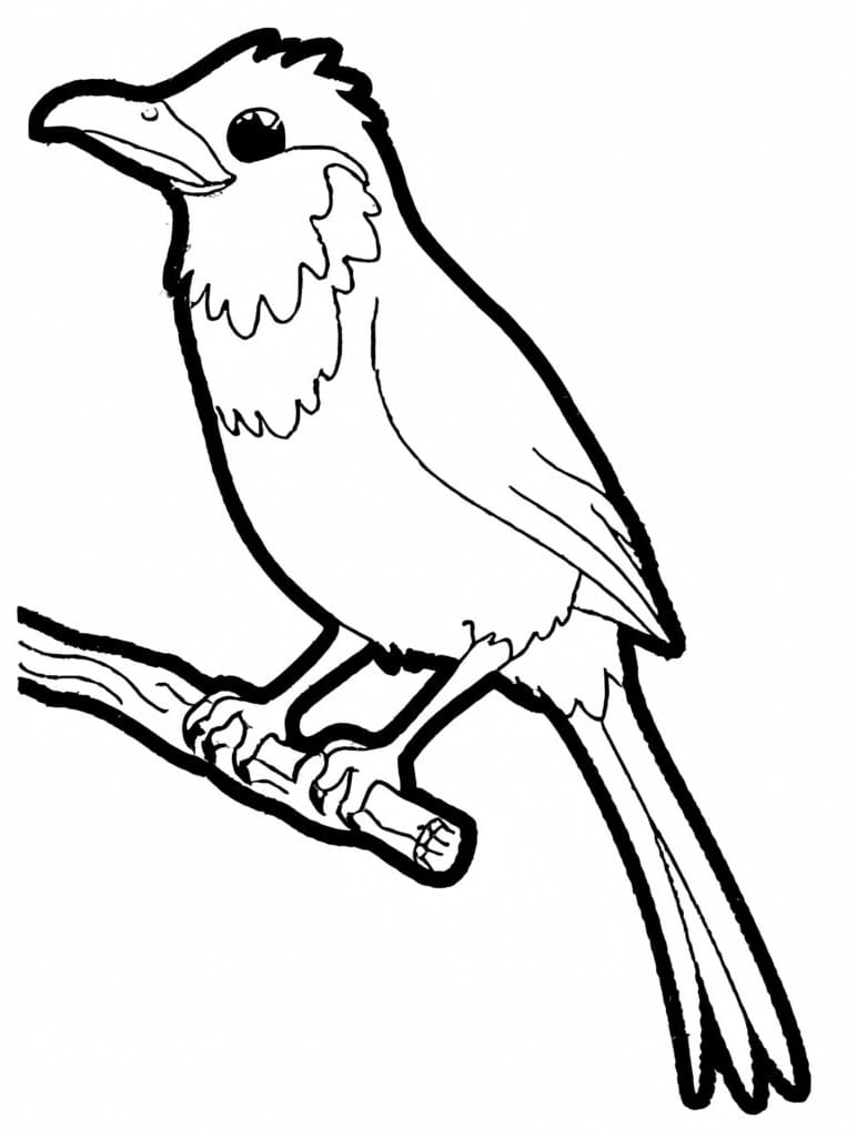 Desenho deUm Pássaro Quetzal para colorir