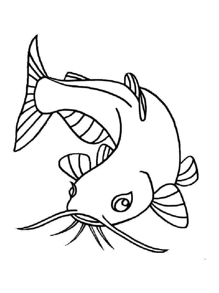 Desenho deUm Peixe Bagre para colorir