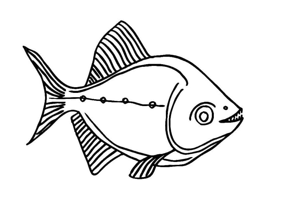 Desenho deUm Piranha para colorir