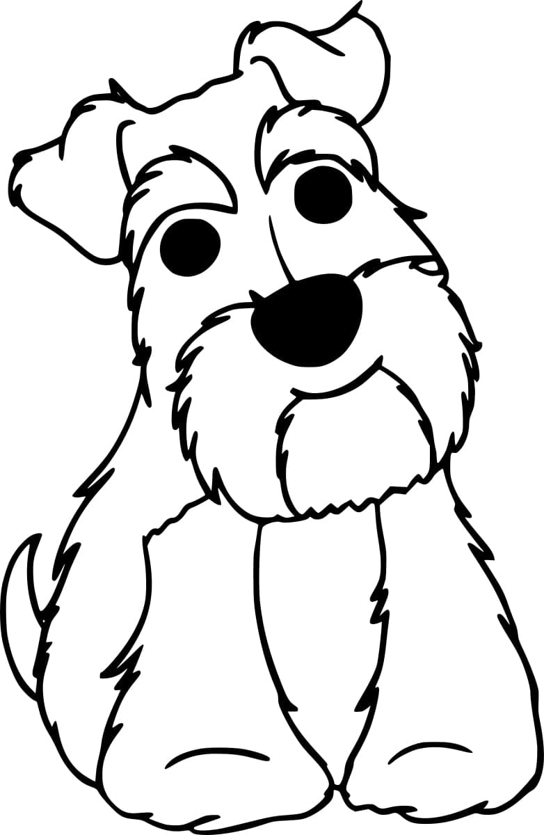 Desenho deUm Schnauzer Fofo para colorir