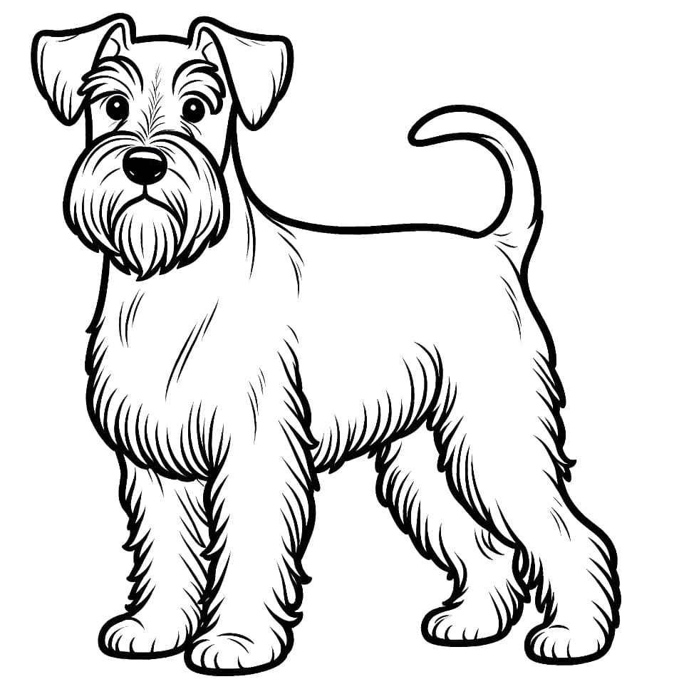 Desenho deUm Schnauzer para colorir