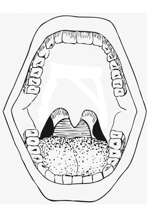 Desenho deUma Boca Aberta para colorir