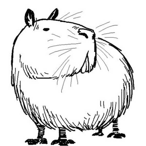 Desenho deUma Capivara para colorir