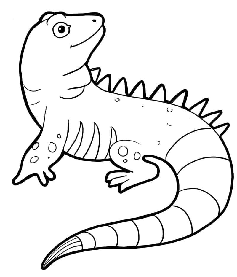 Desenho deUma Iguana Feliz para colorir