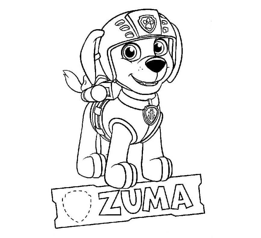 Desenhos de Zuma da Patrulha Canina para colorir